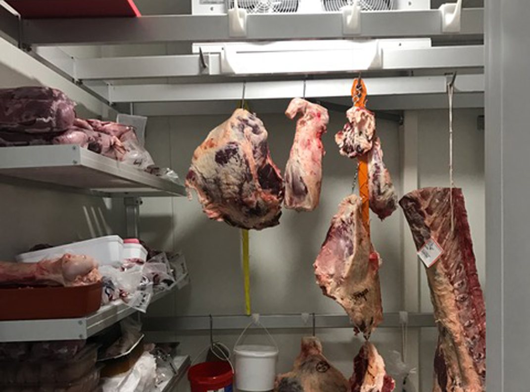 aplication-practica-en-camaras-frigorificas-de-carne