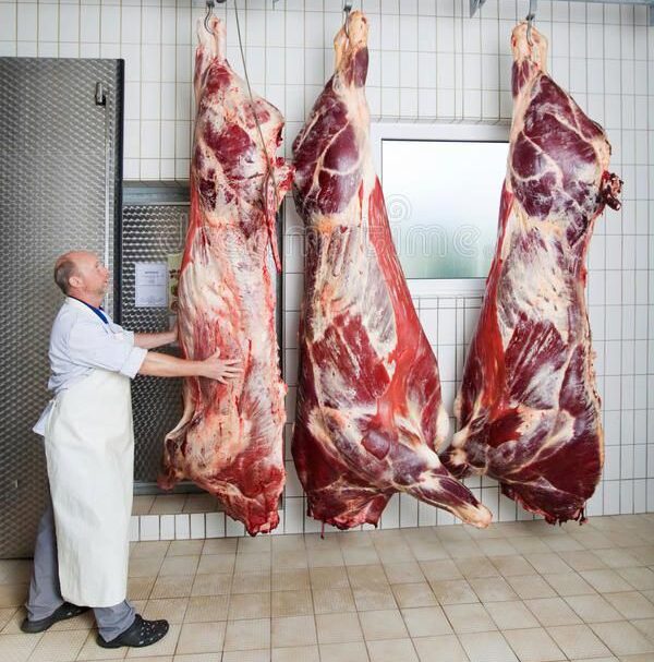 instalacion-railes-manejo-conservacion-de-carne